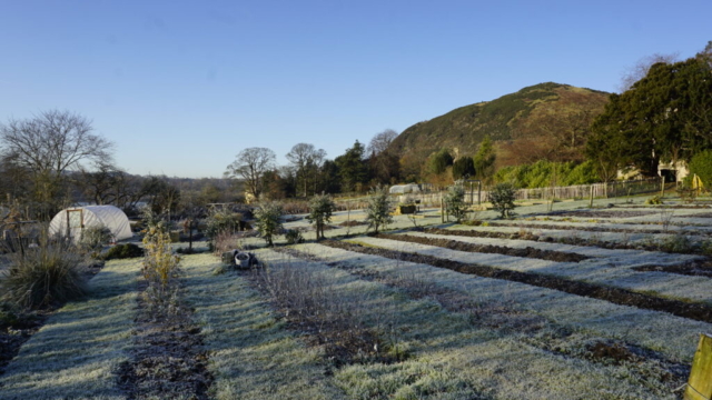 Looking across towards Arthurs Seat