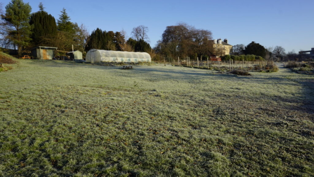 The polytunnel and the Manse