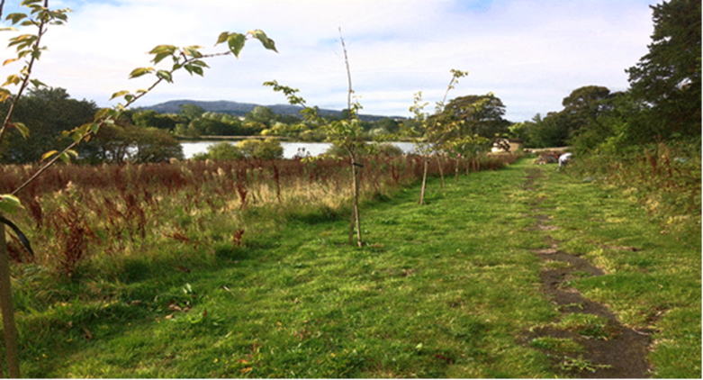 The Glebe and Duddingston Loch