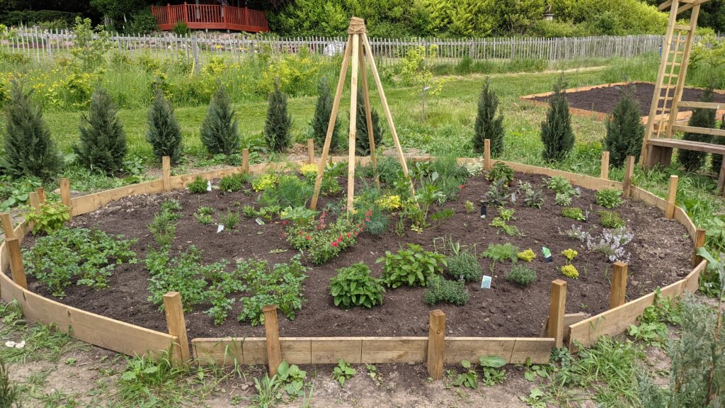 Herb garden 