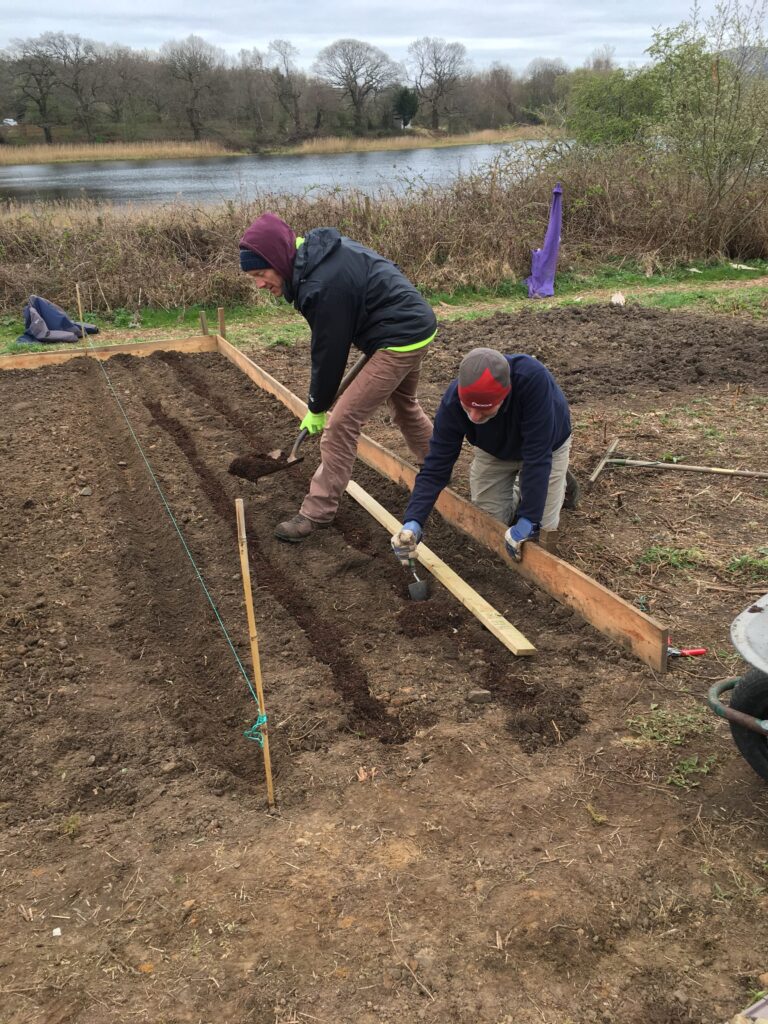 Preparing the ground