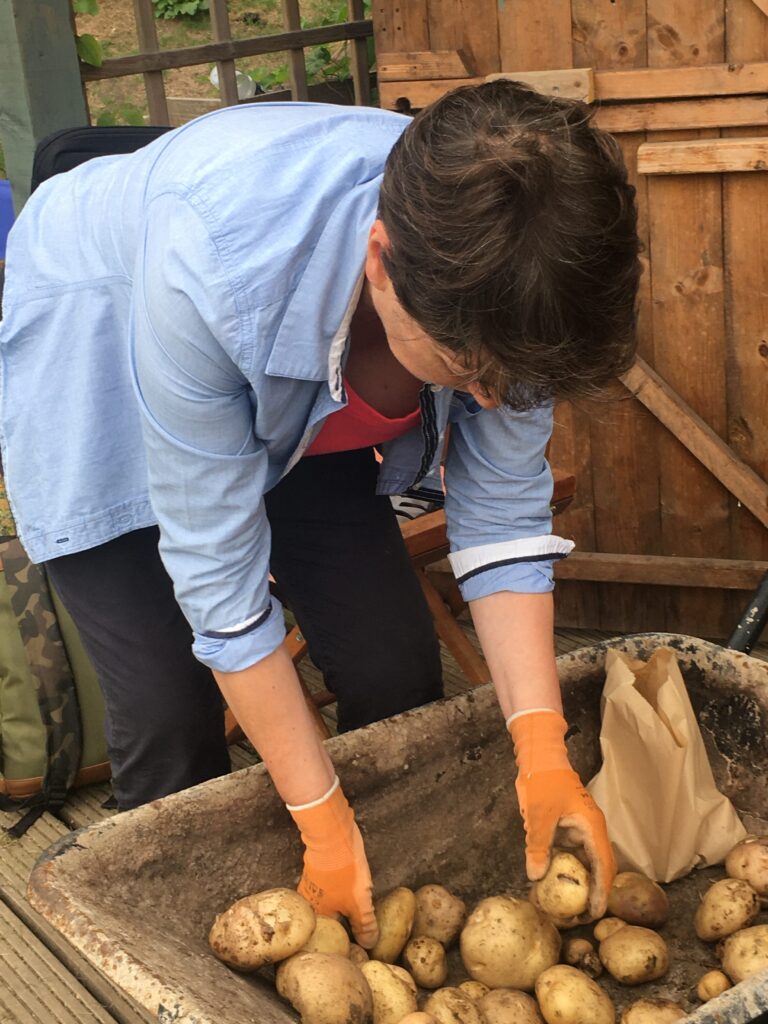 Sorting the tatties